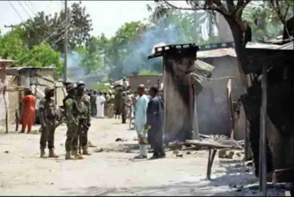 Dogs Prevent Suicide Bombers From Attacking Hospital In Borno